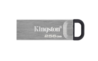 KINGSTON USB Stick Data Traveler DTKN/256GB,USB 3.2, Silver