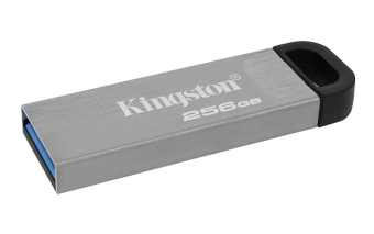 KINGSTON USB Stick Data Traveler DTKN/256GB,USB 3.2, Silver