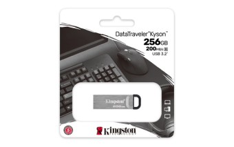 KINGSTON USB Stick Data Traveler DTKN/256GB,USB 3.2, Silver