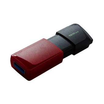 KINGSTON USB Stick DataTraveler Exodia M DTXM/128GB, USB 3.2, Black/Red