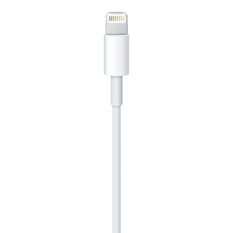 Apple Καλώδιο data / φόρτισης USB-A σε Lightning Λευκό 1m (MXLY2ZM/A)